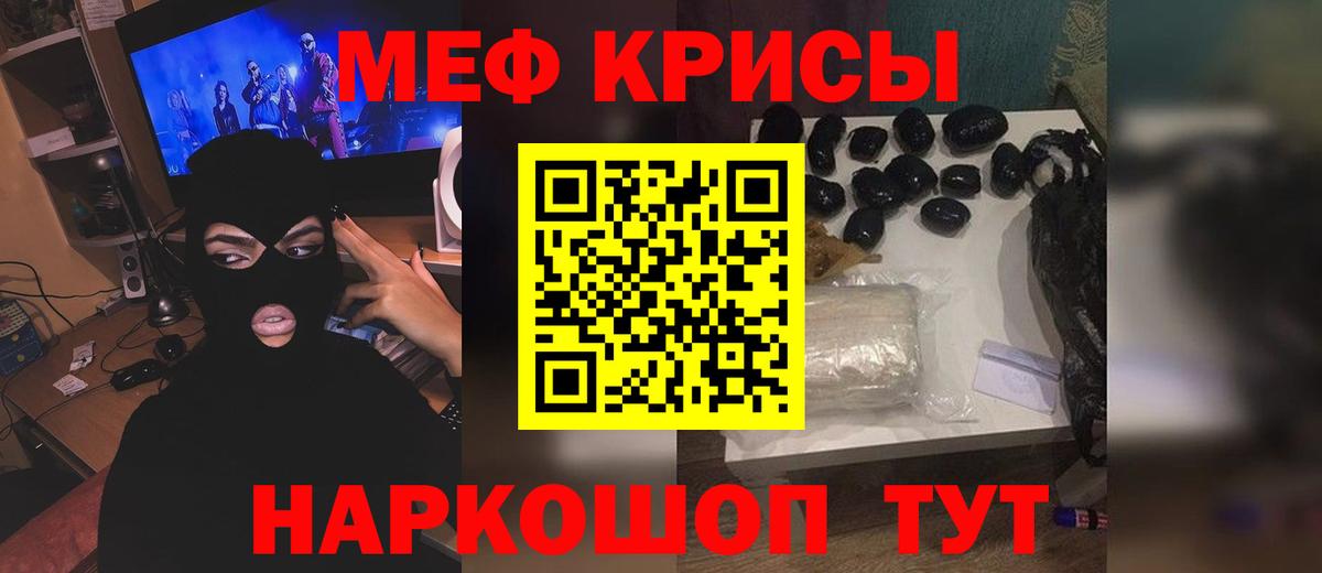 МЕФ  Дубна