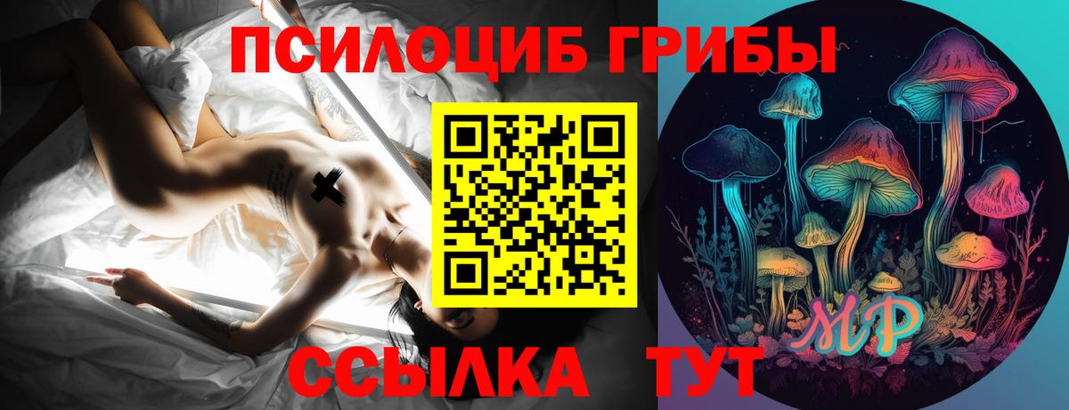 Псилоцибиновые грибы Psilocybe  Галлюциногенные грибы GOLDEN TEACHER  Дубна  Вход с VPN 